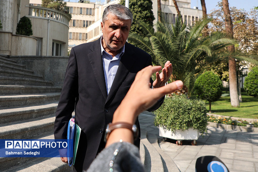 مکاتبات با آژانس انجام شده است/ منتظر پاسخ آژانس برای ادامه مسیر هستیم