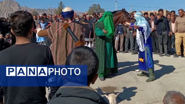 پیاده‌روی رضوی و رونمایی از کتاب «مشهدگ» در سالروز ورود امام رضا(ع) به خرانق اردکان