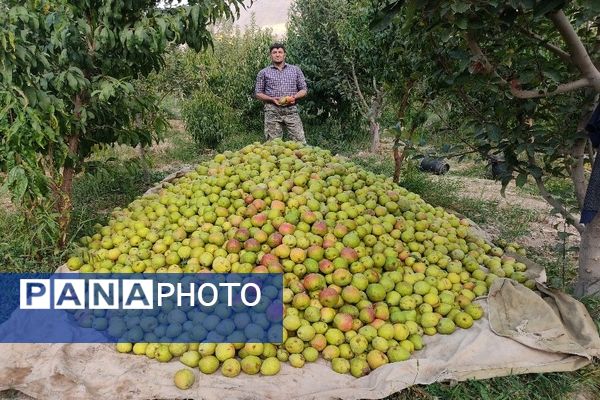 فصل زیبای پاییز در شهر بار نیشابور 