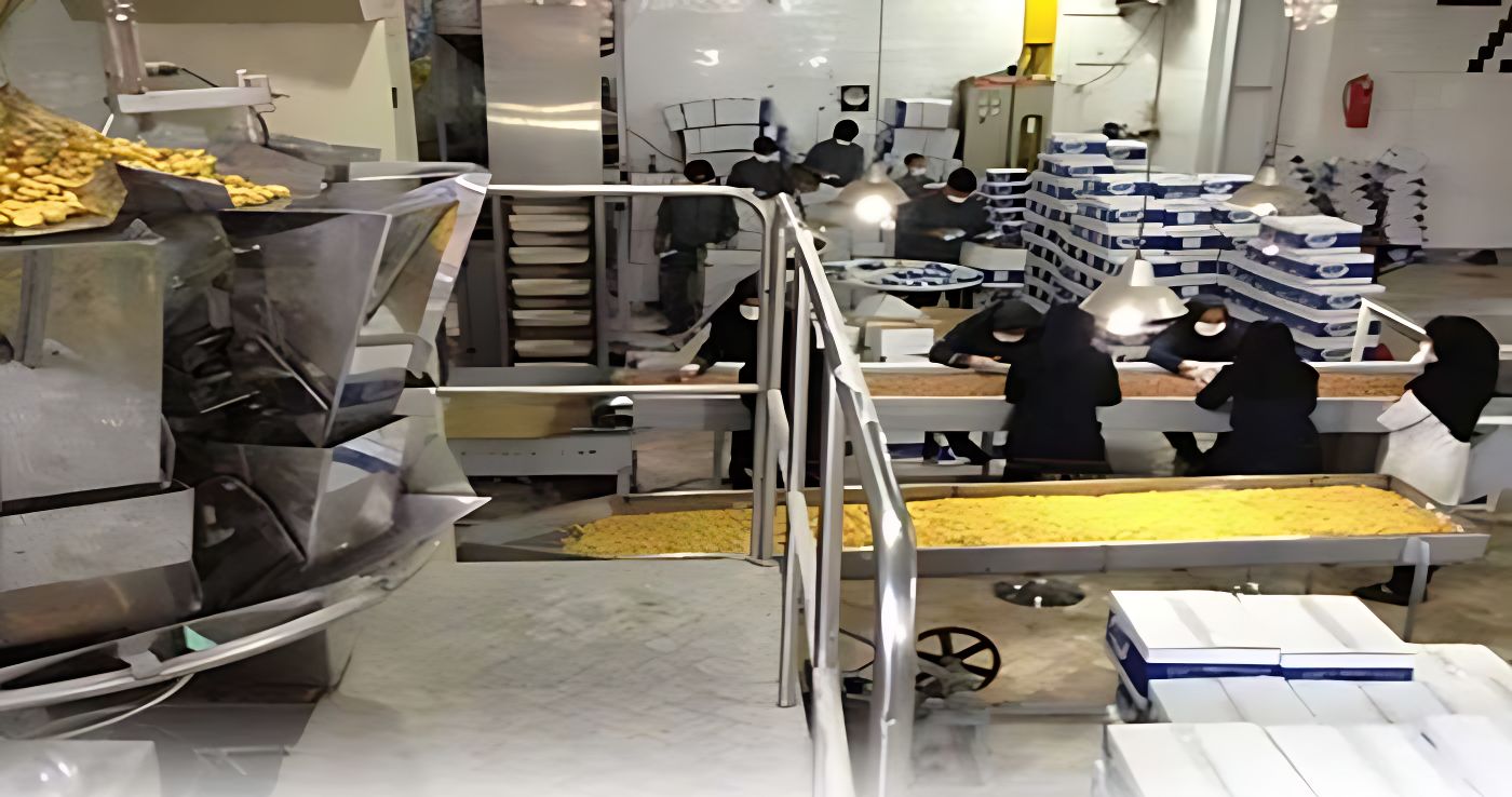 مشاغل خانگی؛ موتور محرک اقتصاد خانواده در روزگار تورم است