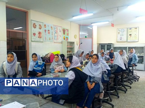 برگزاری کلاس‌های علمی و پژوهشی در پژوهشسرای بوعلی سینا شهرستان ملارد