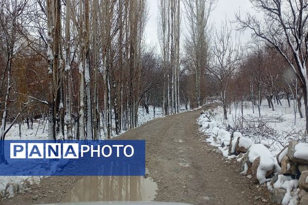 خودنمایی برف در شهر بار نیشابور