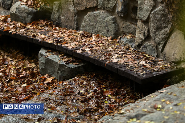 پاییز خیال انگیز در پارک جمشیدیه