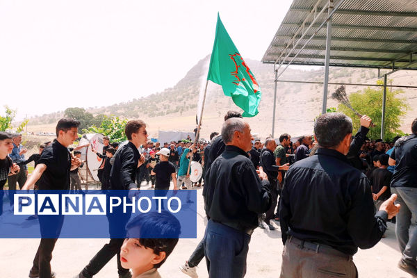 امامزادگان میزبان عزاداران محرم 