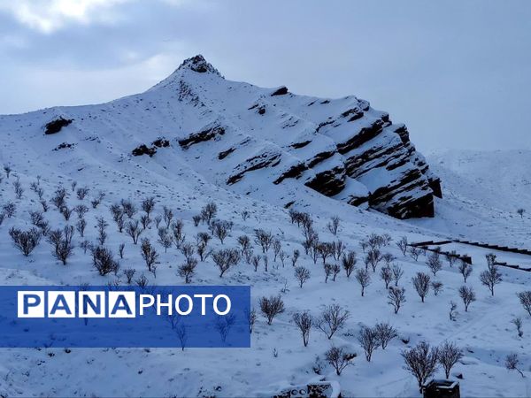 جلگه رخ سفید پوش شد 