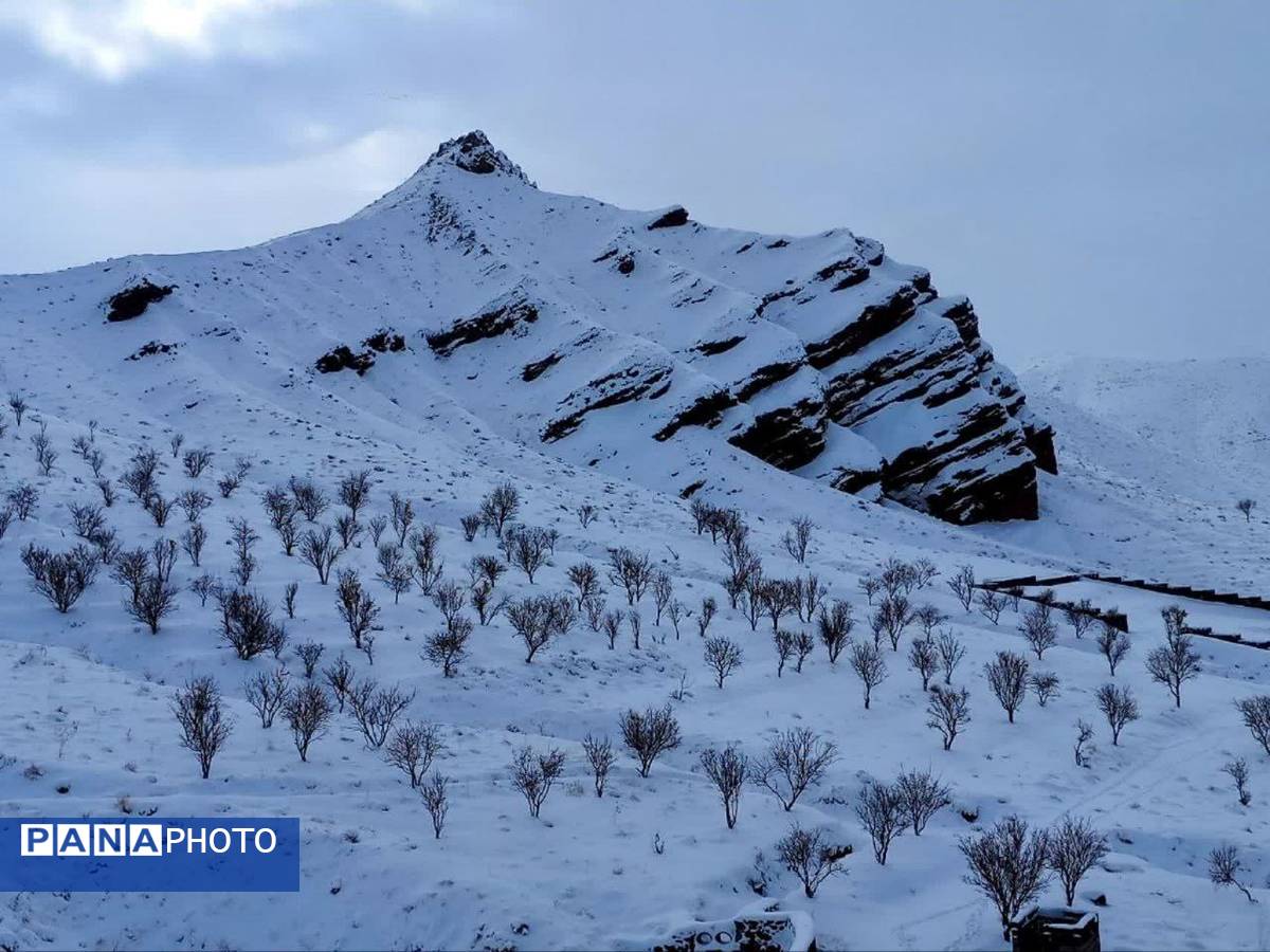 جلگه رخ سفید پوش شد 