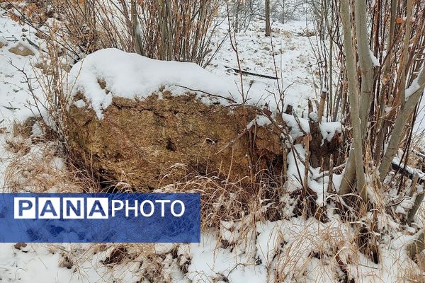 یک قدم مانده به زمستان طبیعت شهر بار کاملاً زمستانی شد
