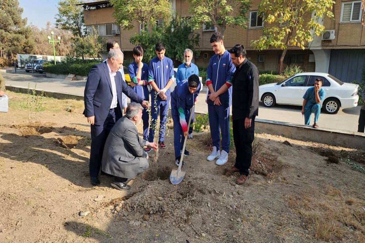 اهمیت بالای فرهنگسازی در زمینه کاشت درخت از دوران کودکی و نوجوانی