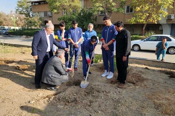 اهمیت بالای فرهنگ‌سازی در زمینه کاشت درخت از دوران کودکی و نوجوانی