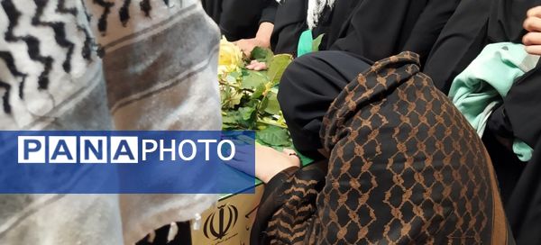 مهمان آسمانی در شهر سورشجان