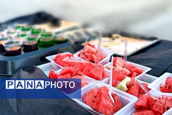 ایستگاه صلواتی به‌مناسب سالگرد شهدای خدمت در شهرستان باشت