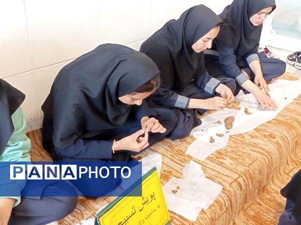 پویش تسبیح در دبیرستان فرهنگ کاشمر