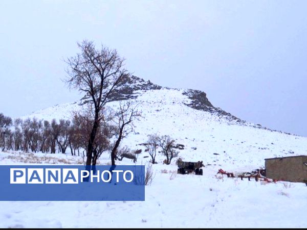 برف زمستانی، مهمان شهرستان کیار