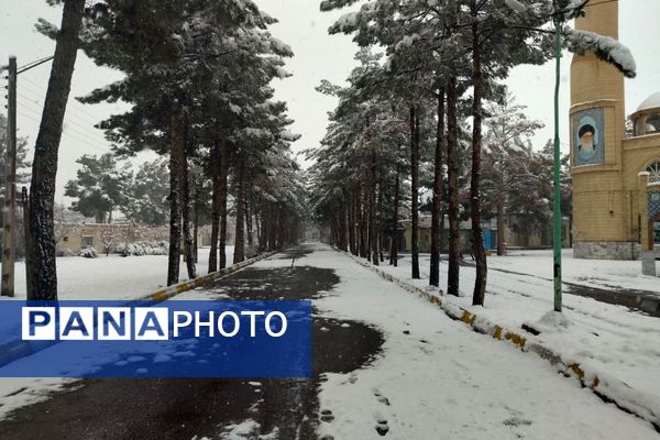 بارش برف در شهرستان تربت جام