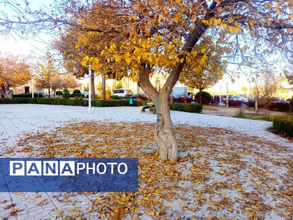 طبیعت زیبای کاشمر در پاییز