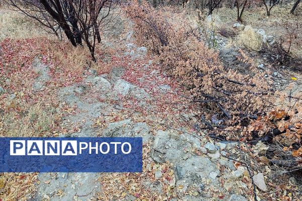 چهره شفاف و دل انگیز شهربارنیشابور با بارش  باران پاییزی  