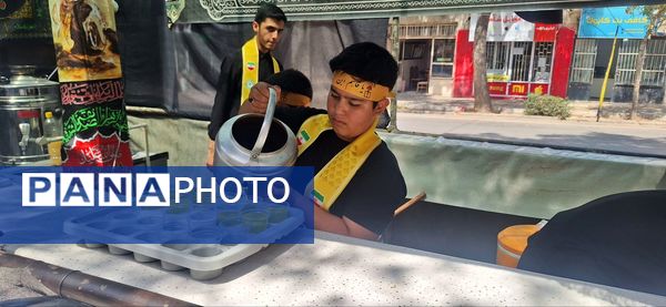 پذیرایی موکب سازمان دانش‌آموزی شهرستان اسفراین از عزاداران امام حسین (ع)