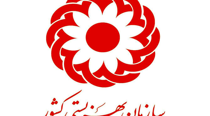 ۵۵ درصد جوانان مستقل شده از بهزیستی دارای شغل و ۴۹ درصد مستاجرند