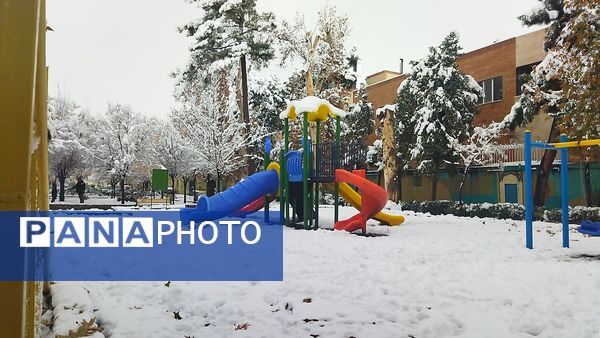 درختان طلایی ، سفید پوش شدند 