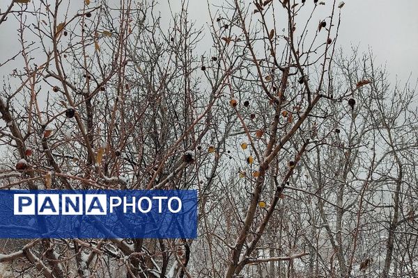 یک قدم مانده به زمستان طبیعت شهر بار کاملاً زمستانی شد
