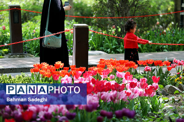 فصل لاله‌ها در بوستان باغ ایرانی