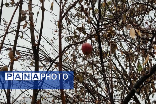 چهره شفاف و دل انگیز شهربارنیشابور با بارش  باران پاییزی  