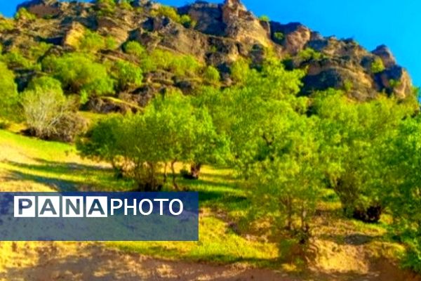 جاذبه‌های گردشگری روستای دوازده‌ امام 