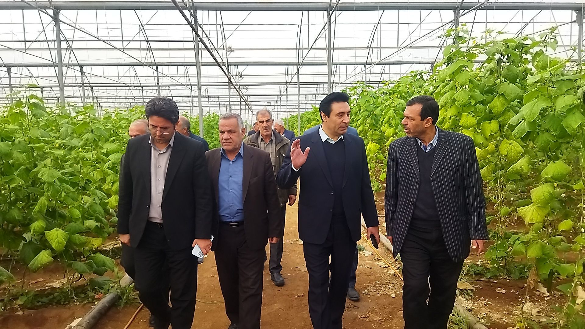 بازدید از گلخانه نمونه خسروشاه در هفته بسیج