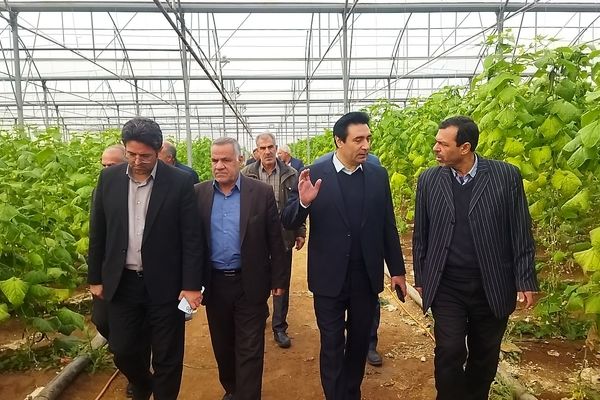 بازدید از گلخانه نمونه خسروشاه در هفته بسیج