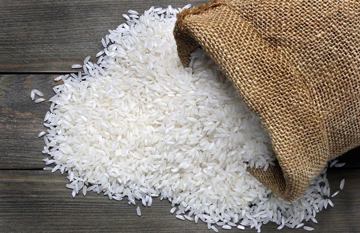 بخش خصوصی با حمایت دولت می‌تواند بازار برنج را مدیریت کند