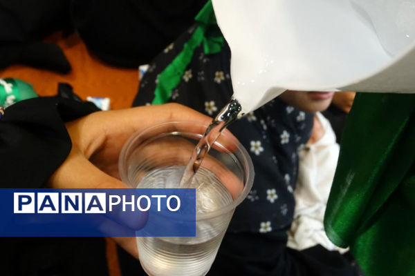 همایش شیرخوارگان حسینی، لاله‌های سرخ در آغوش مادران