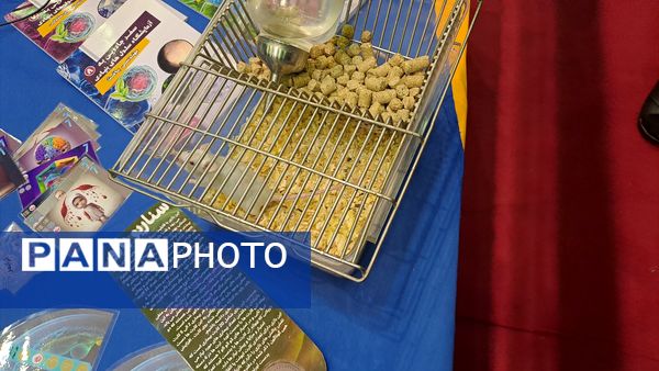 پنجمین دوره جشنواره علمی پژوهشی پژوهش‌سراهای دانش‌آموزی کشور 