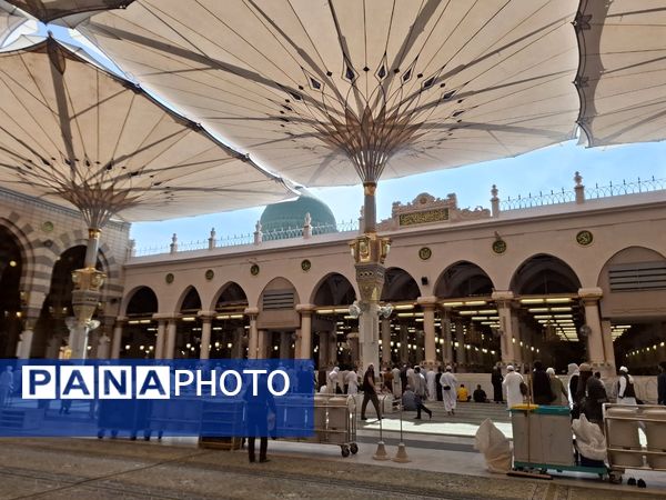 مدینه مقصد اول دانش‌آموزان زائر