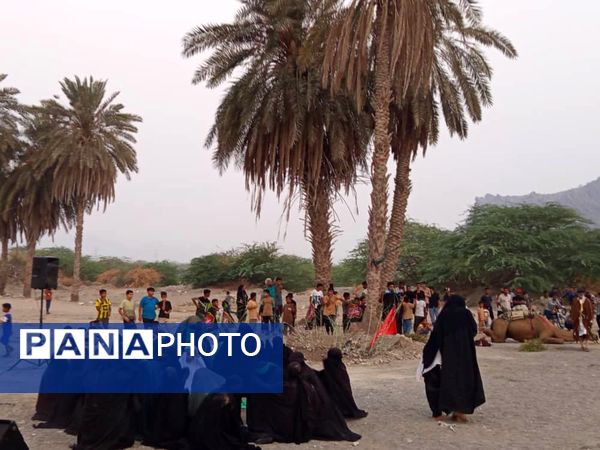 آیین باشکوه کاروان شام تا کربلا در میناب