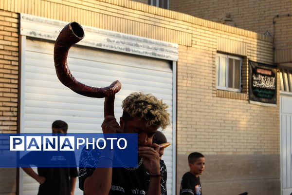 آیین نخل‌برداری شهادت امام رضا (ع) در یزد