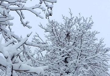 هدیه زمستان به دانش‌آموزان ؛ برف و شور بازی‌های کودکانه