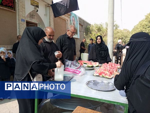 پیاده‌روی جاماندگان اربعین، راهیان کربلای ایران مشهداردهال
