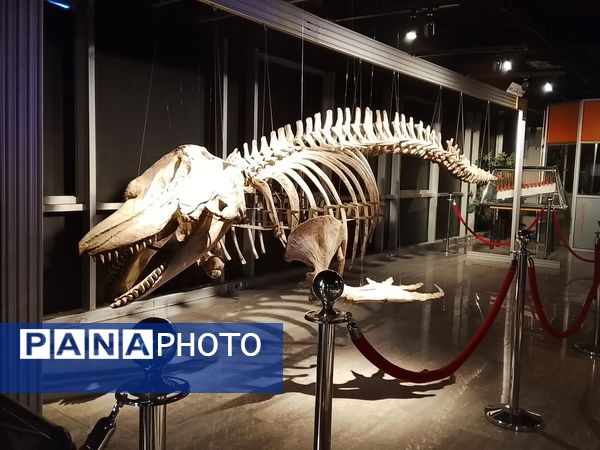 بازدید علمی و تفریحی دانش‌آموزان مدرسه فرزانگان 5 ساوجبلاغ از پارک علم و فناوری تهران