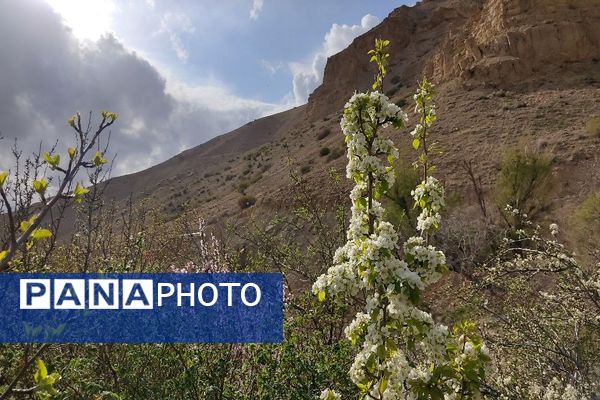 شهر بار نگین سبز خراسان رضوی میزبان فصل بهار 