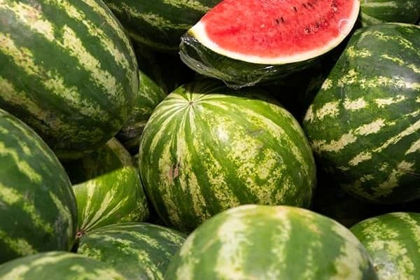 میانگین غلظت نیترات در هندوانه‌های  ایران کمتر از ۱۰ میلی‌گرم بر کیلو گرم است