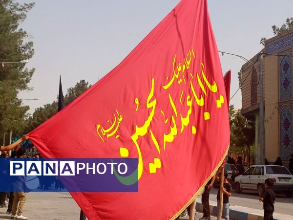 قافله عزاداری تاسوعای حسینی در شهر حبیب آباد