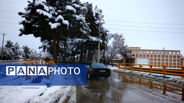 وقتی زمین زیر لحاف سفید برف به خواب میرود