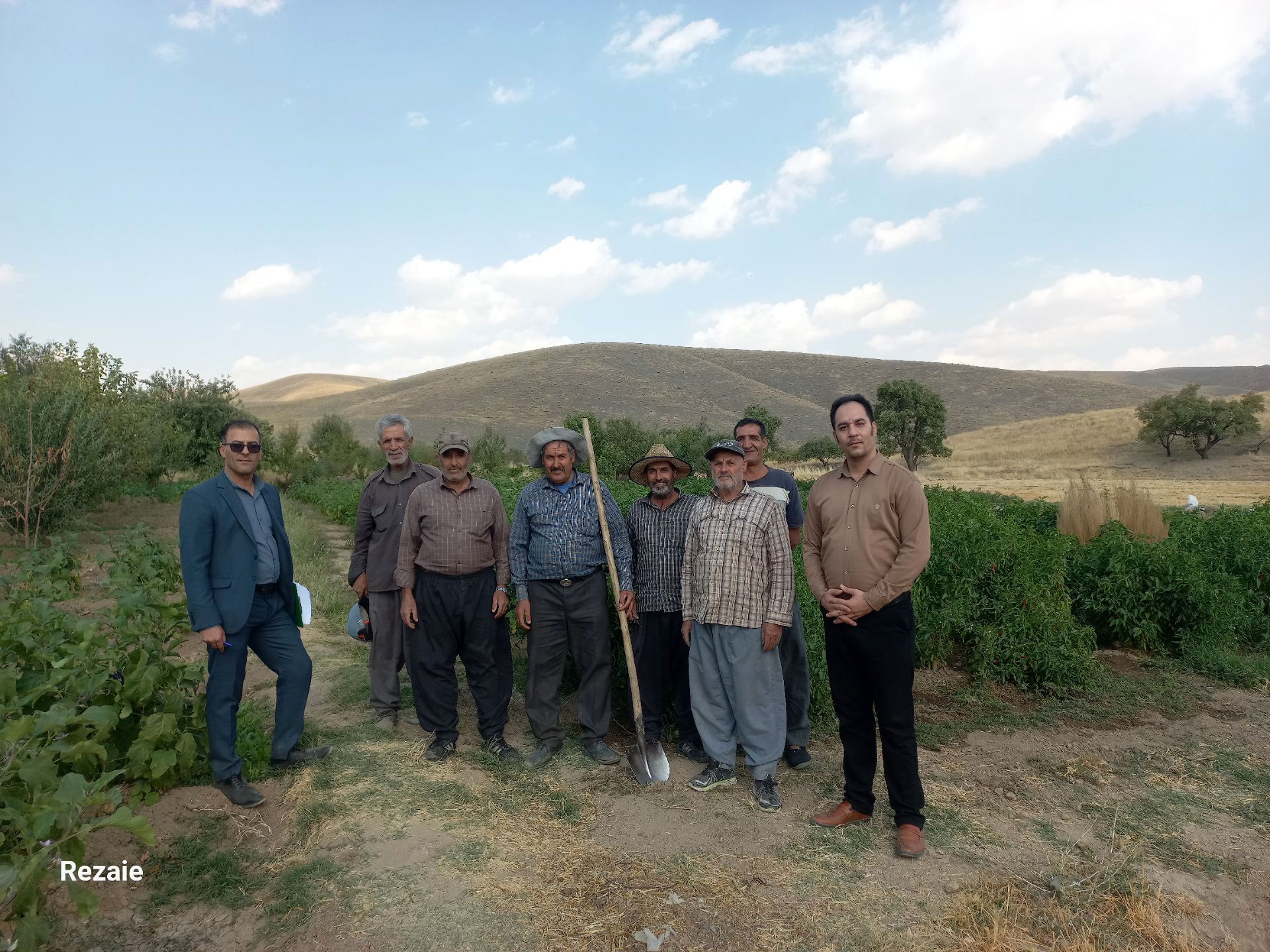 تسهیلات بنیاد برکت، عامل مؤثر در مهاجرت معکوس و توسعه اقتصادی روستاهای بروجرد