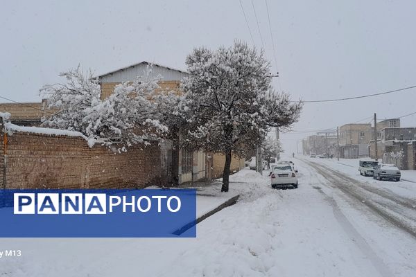 عروس فصل‌ها باری دیگر مهمان شهرستان بن