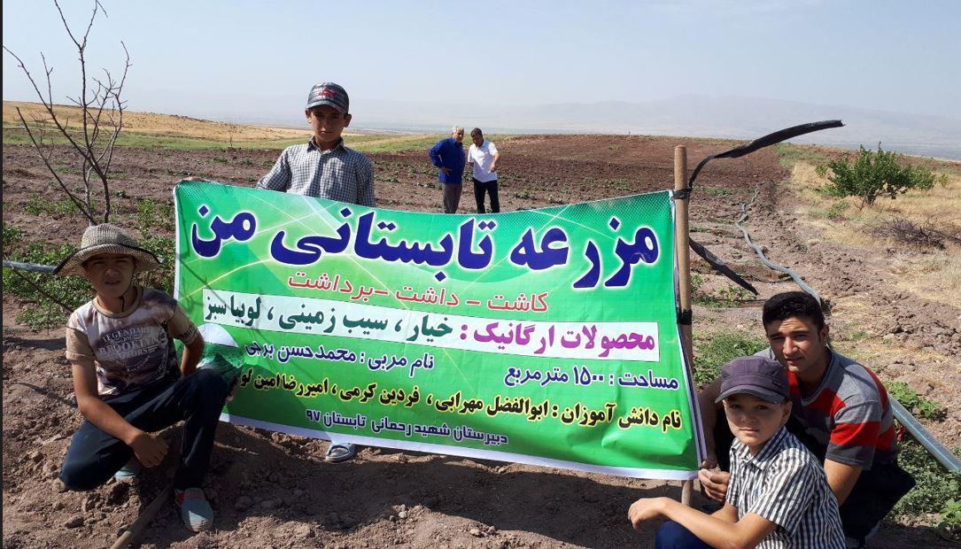 آغاز اجرای طرح «مزرعه تابستانی من» برای مهارت‌آموزی دانش‌آموزان از اول تیر