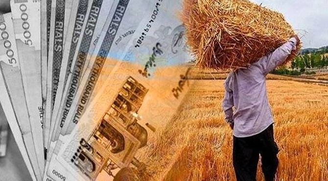 پرداخت کامل مطالبات گندم‌کاران ۲ ماه پس از تاکید رئیس قوه قضاییه