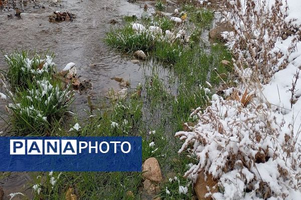 یک قدم مانده به زمستان طبیعت شهر بار کاملاً زمستانی شد