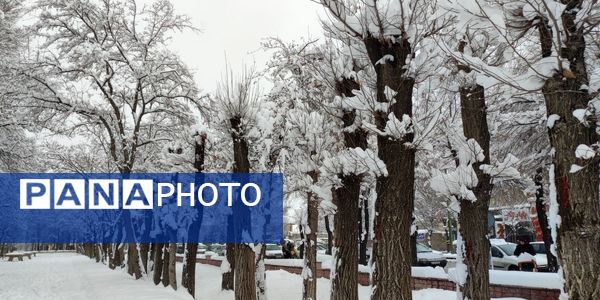 سکوت برفی بروجن، قلب شهر را به تپش انداخت