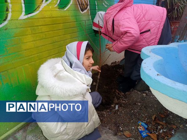 دانش‌آموزان و مسئولین شهرستان ملارد، در روز درختکاری جوانه‌های امید را به زمین هدیه دادند