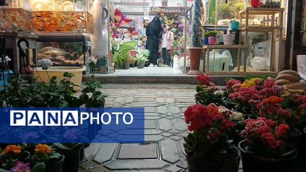 حال و هوای بهاری بازار بن در بهار قرآن